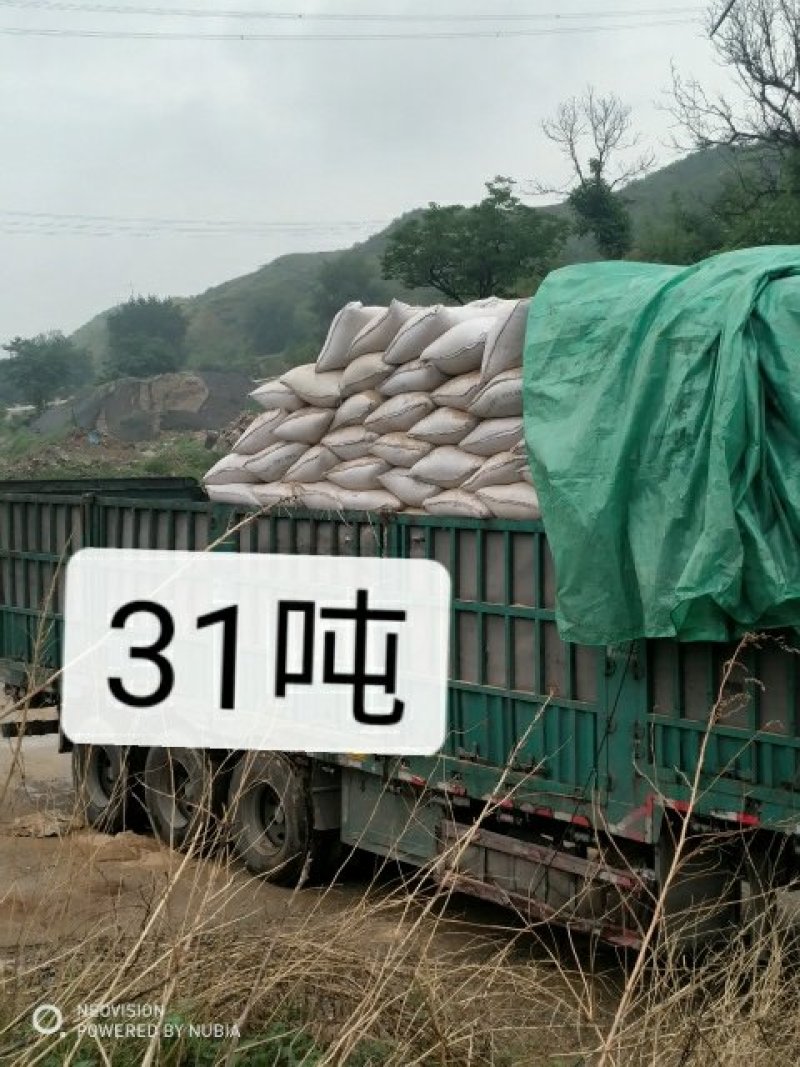 长期大量供应黄粉虫粪虫沙