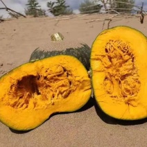 沙漠板栗南瓜