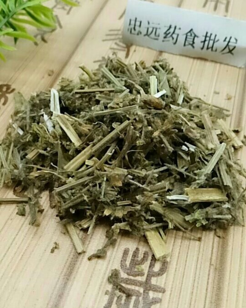 荔枝草千余品种供应承接订单