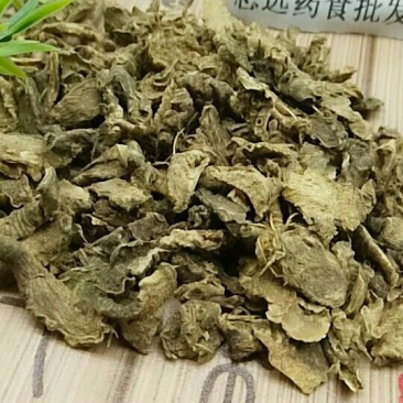 鸢尾根千余品种供应承接订单