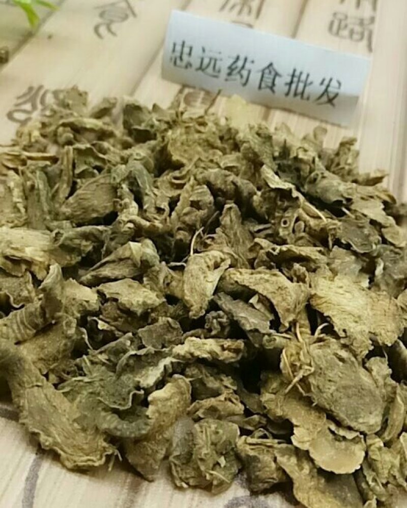 鸢尾根千余品种供应承接订单