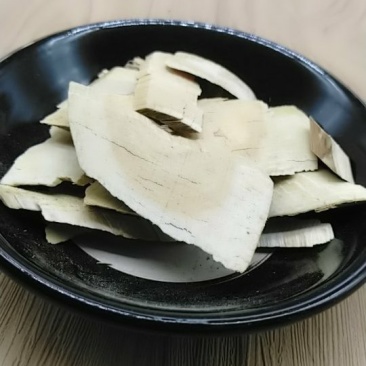 接骨木产地直供可搭配多品种采购大货联系客服