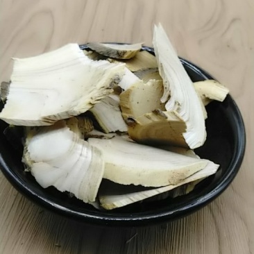鸟不宿产地直供可搭配多品种采购大货联系客服