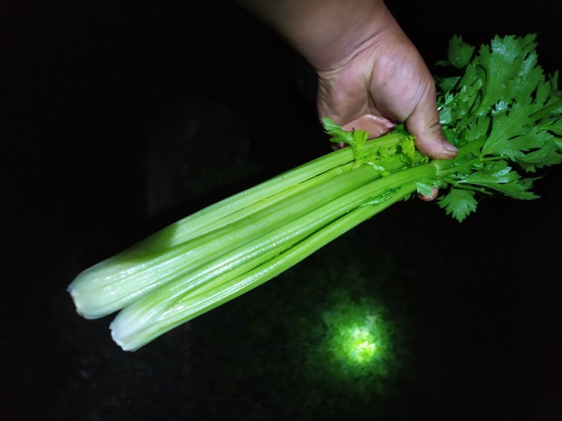 西芹