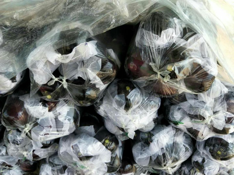 黑色圆茄★《精品好货》产地直供、诚信代办、质量好价格优