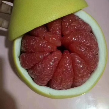 广东平和琯溪蜜柚，，，，，，，，，，，，，，，