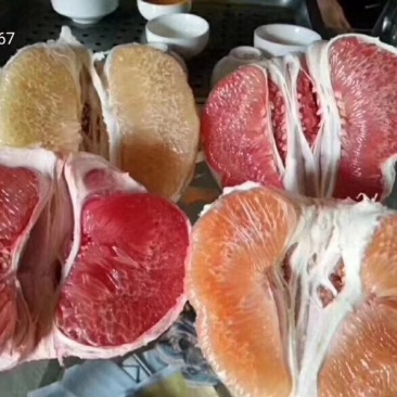 福建平和琯溪蜜柚上架！，，，，，，，，，，，，