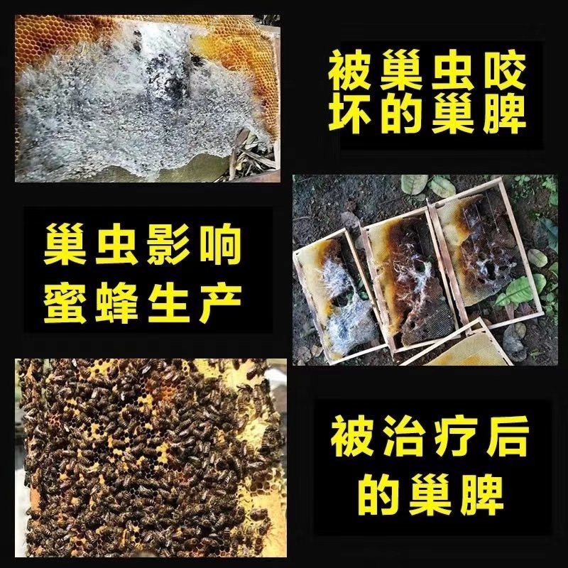 巢虫清木片巢清正品中蜂专用巢虫清挂片10片装白头蛹绵虫蜂