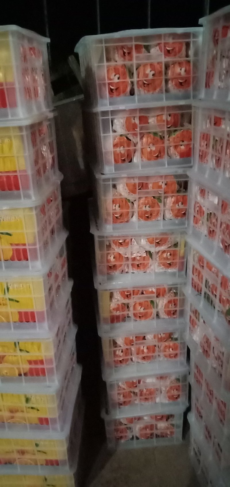 浙江大炮丑桔保质保量预售中（大丰，特早，宫川蜜橘）