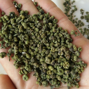 中花吴茱萸/广西吴茱萸/吴萸干货/产地中花吴萸