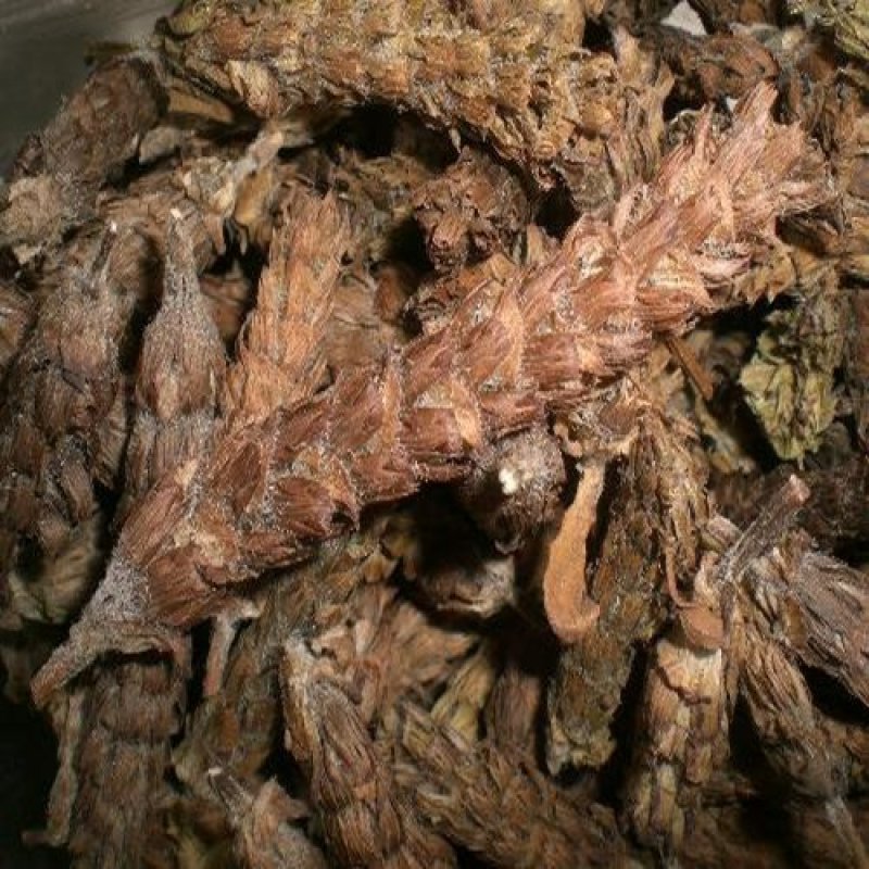 夏枯球各种规格可打粉可打粉批发零售中药材