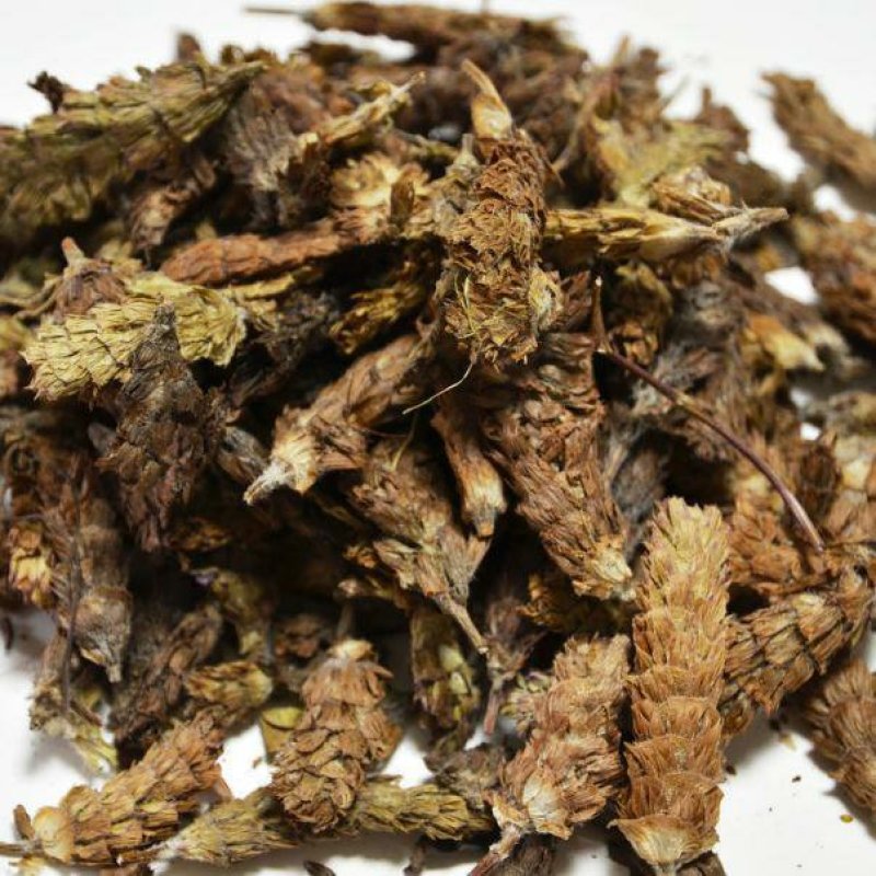 夏枯球各种规格可打粉可打粉批发零售中药材