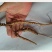 长白山野生70年左右人参