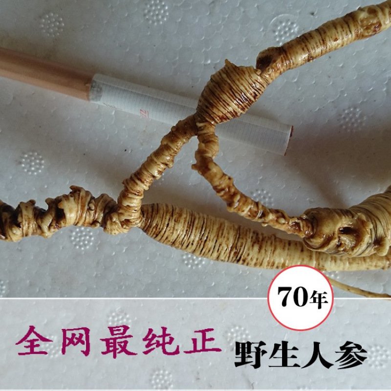 长白山野生70年左右人参