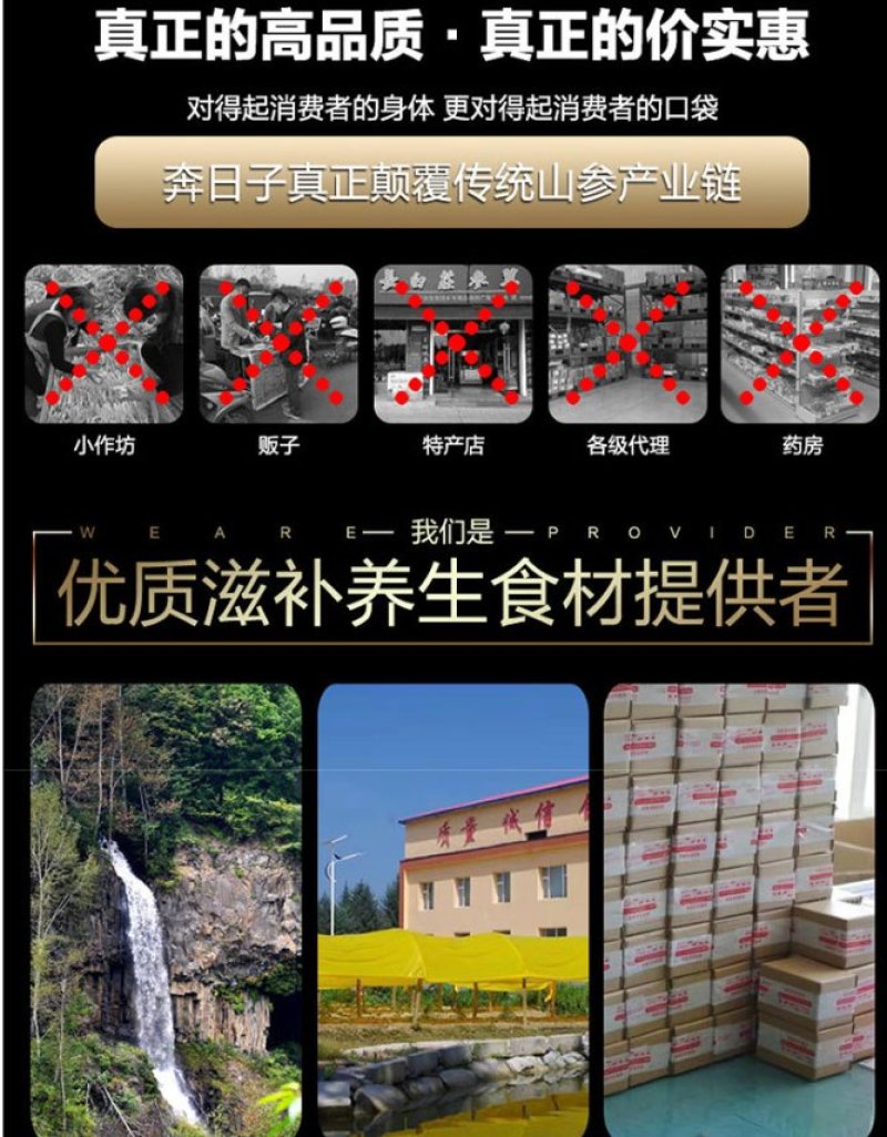 长白山宁林种植野人参。