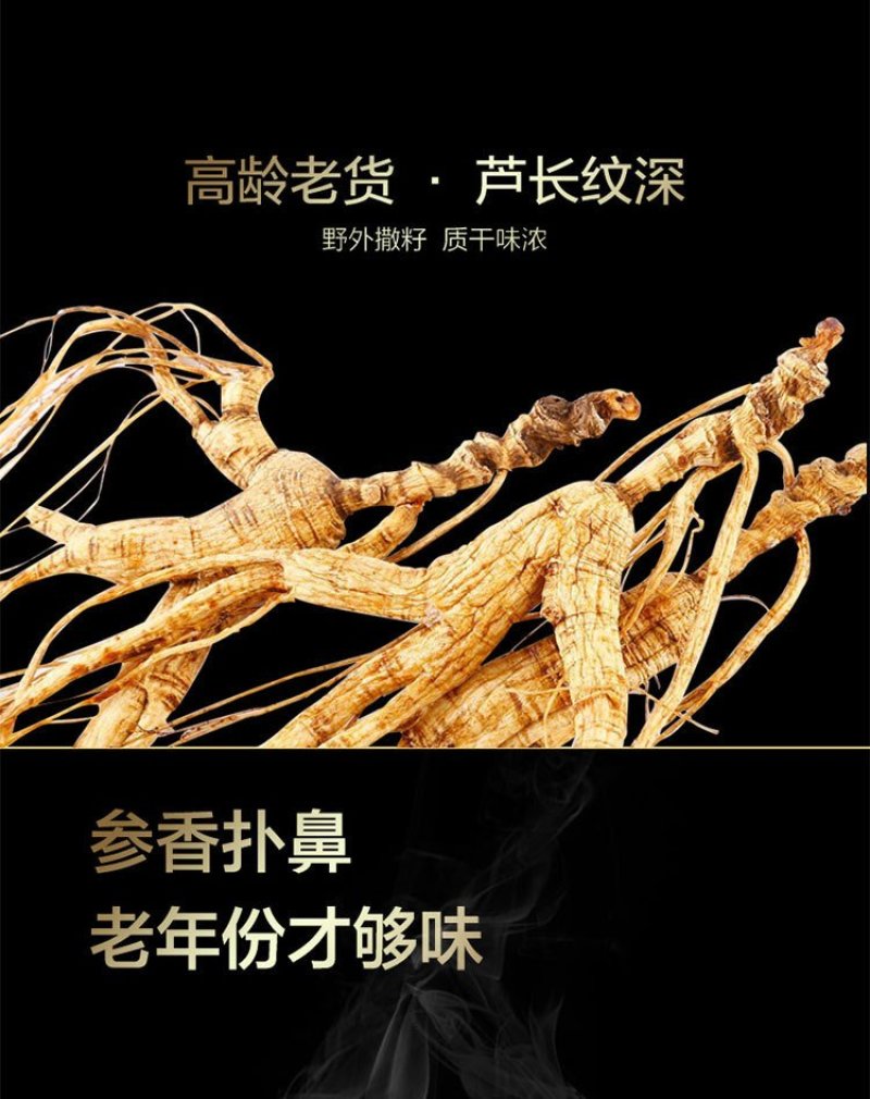 长白山宁林种植野人参。