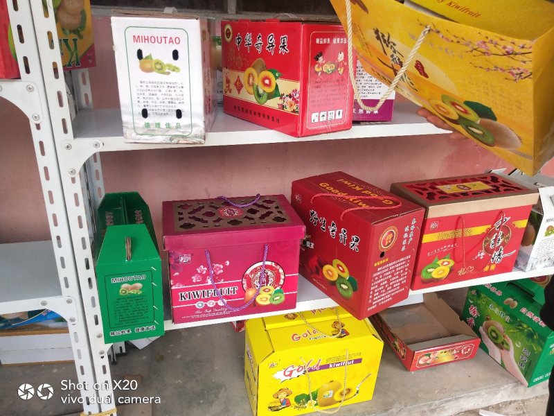 陕西绿心猕猴桃眉县海沃德大量供应质量保证精品果型好