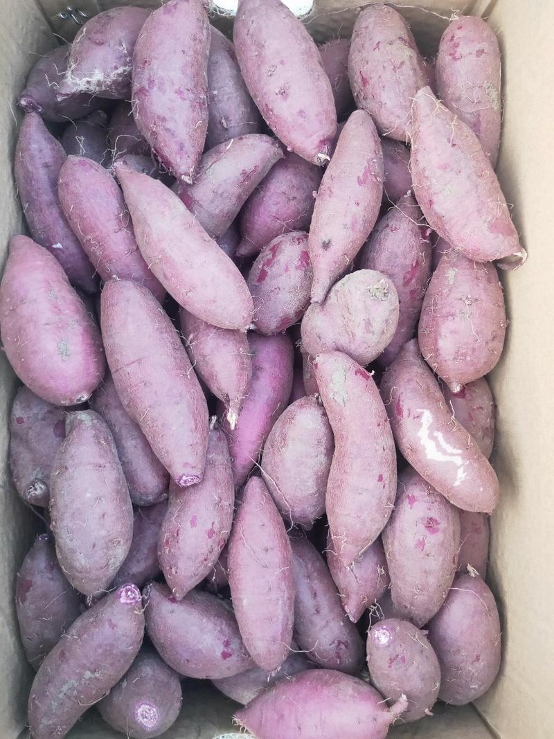 紫罗兰紫薯正宗丘陵沙地紫罗兰紫薯，高糖高淀粉