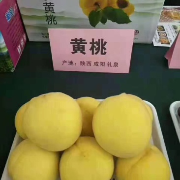 现摘现卖，质量保证