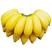 香蕉苗皇帝蕉粉蕉苗红香蕉苗威廉斯中蕉9号