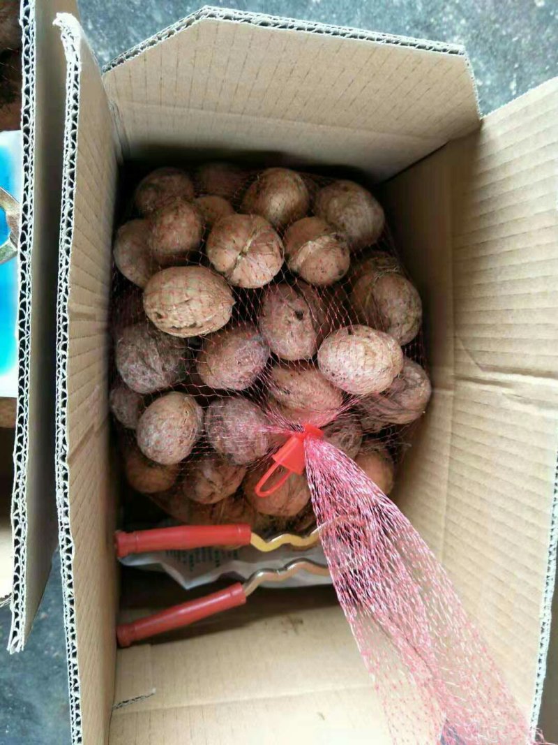 去皮鲜核桃