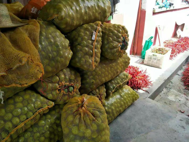 去皮鲜核桃