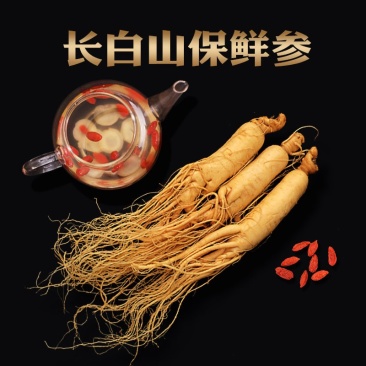 长白山种植保鲜人参。
