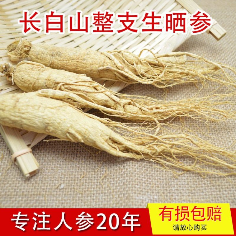 种植晒干人参