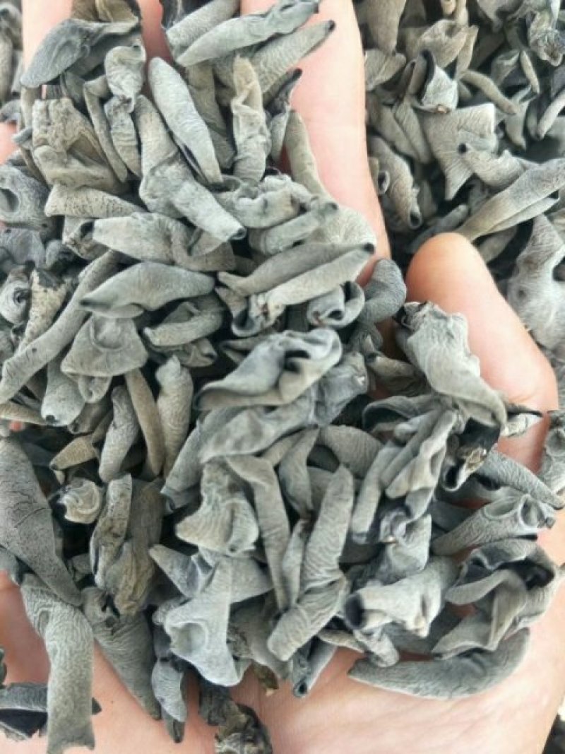 东北黑龙江天然林木农家手工采摘《精品碗耳》