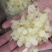 皂角米新货雪莲子产地直销量大从优大货批发