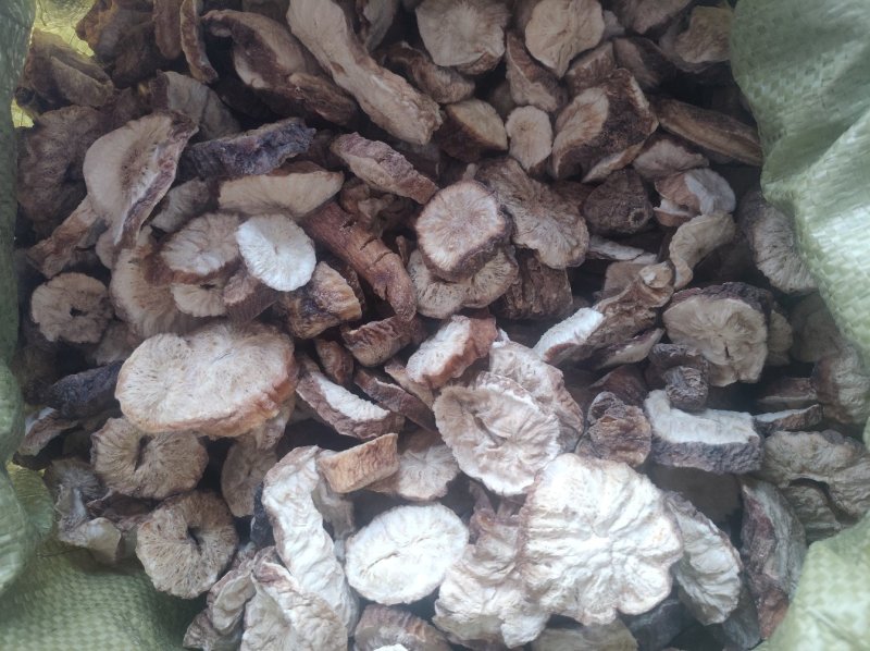 菊苣根，新货，大片无硫菊巨根