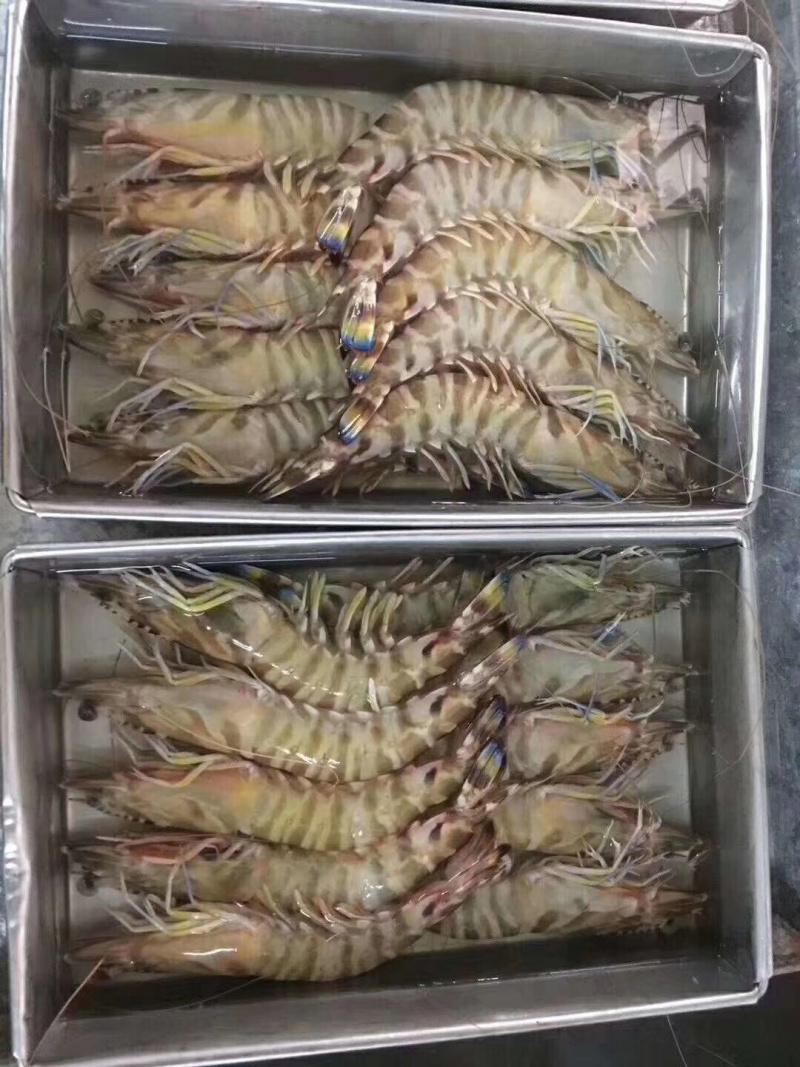 花虾