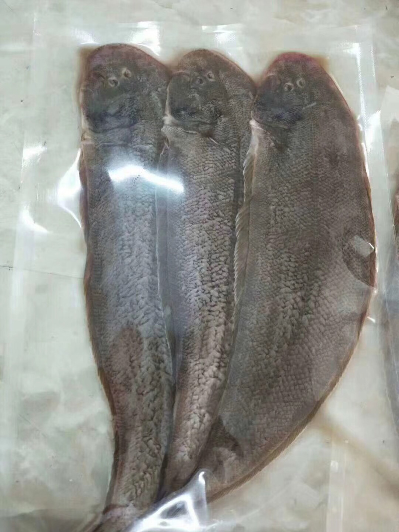 龙利鱼