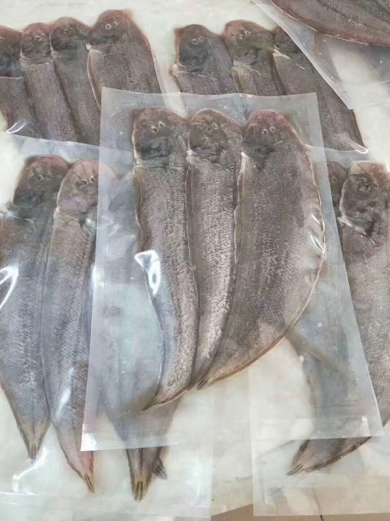 龙利鱼
