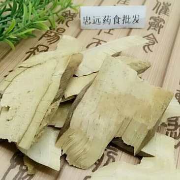 接骨木千余品种供应承接订单