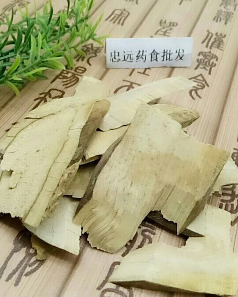 接骨木千余品种供应承接订单