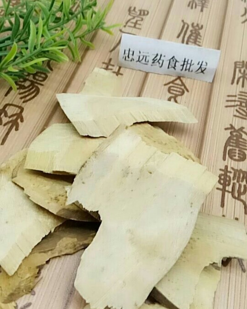 接骨木千余品种供应承接订单