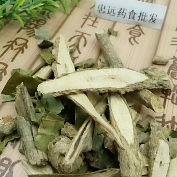 野木瓜千余品种供应承接订单