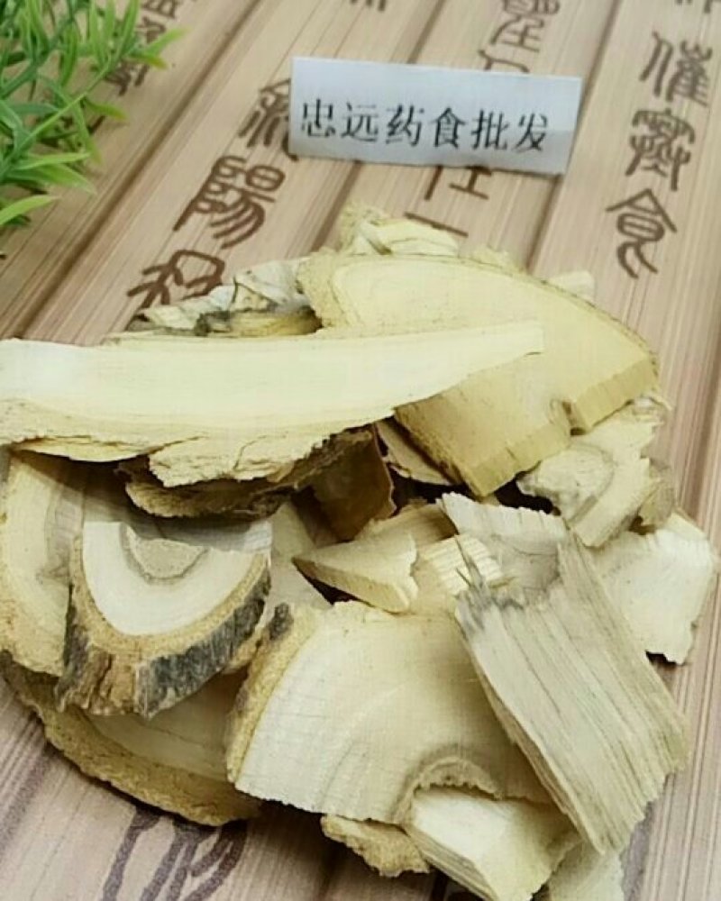 鸟不宿鸟不踏鸟不企千余品种供应承接订单