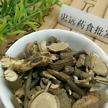 朱砂根大罗伞千余品种供应承接订单