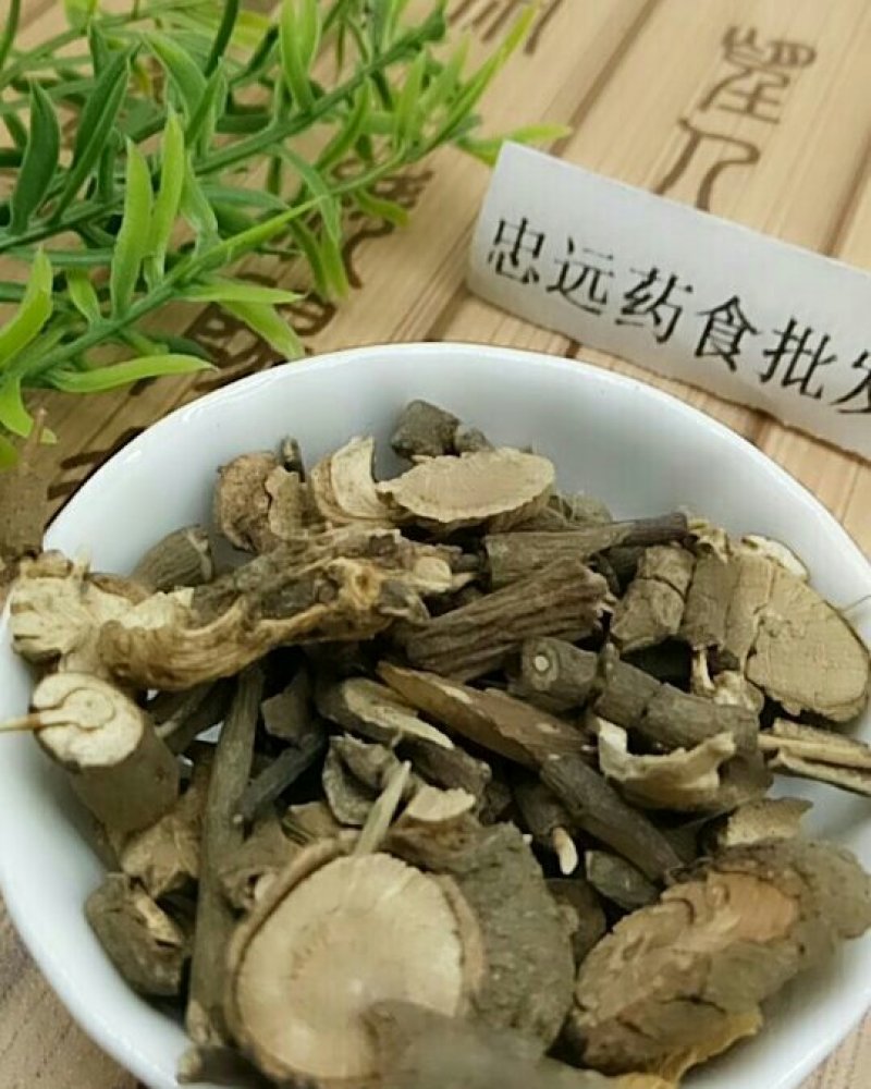 朱砂根大罗伞千余品种供应承接订单