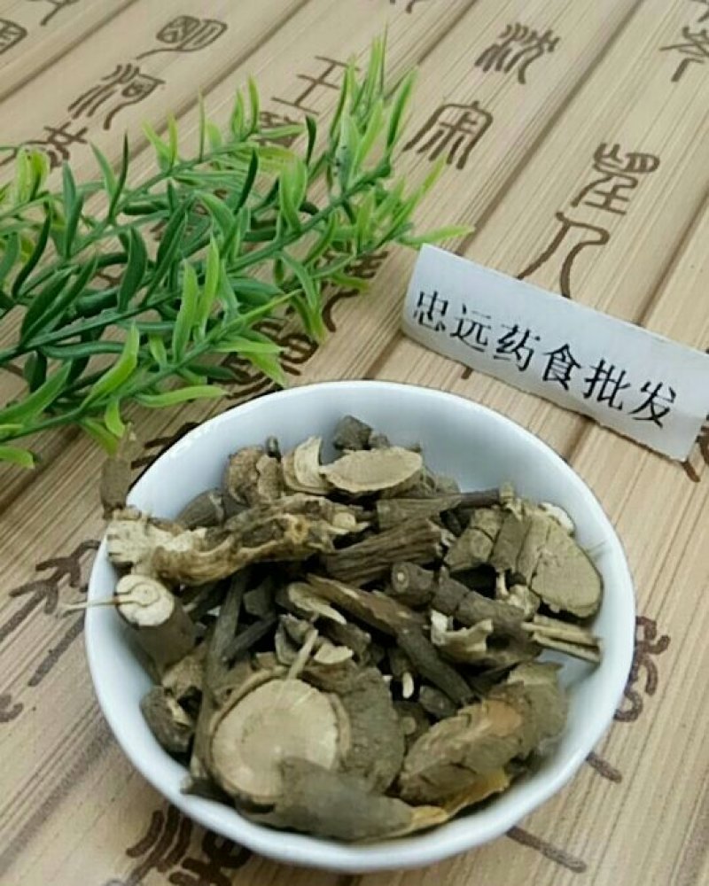 朱砂根大罗伞千余品种供应承接订单