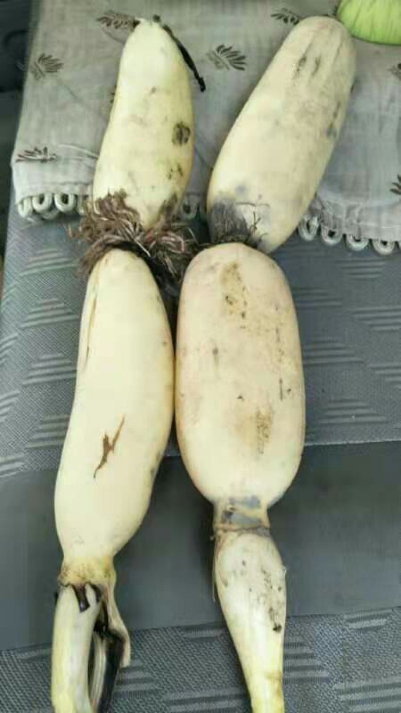 湖北莲藕武植二号，炒藕