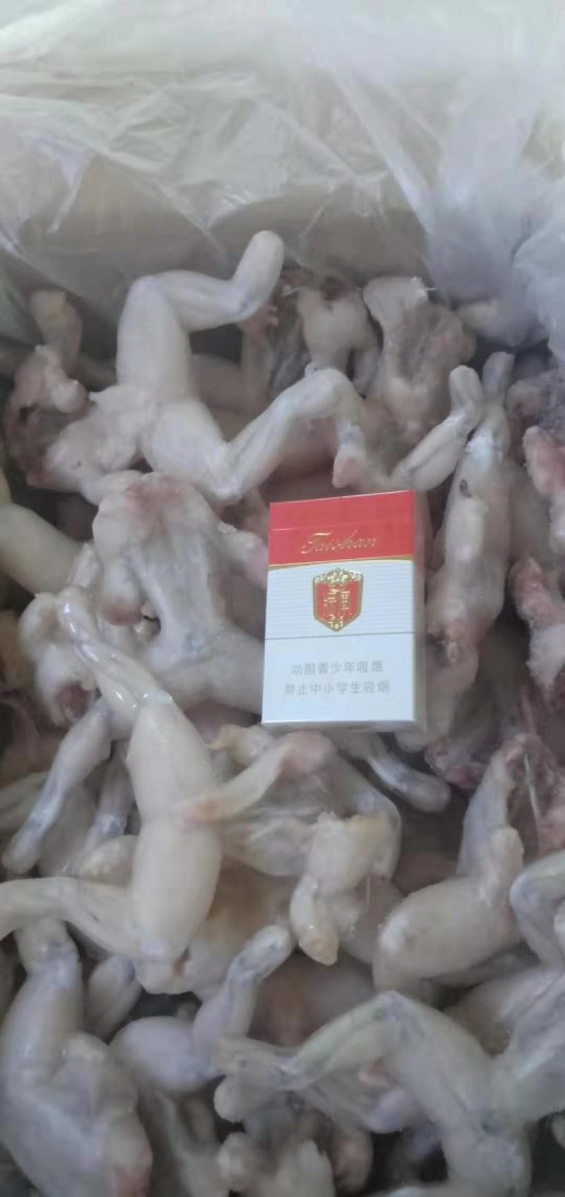 牛蛙，一手货源，货美价廉。