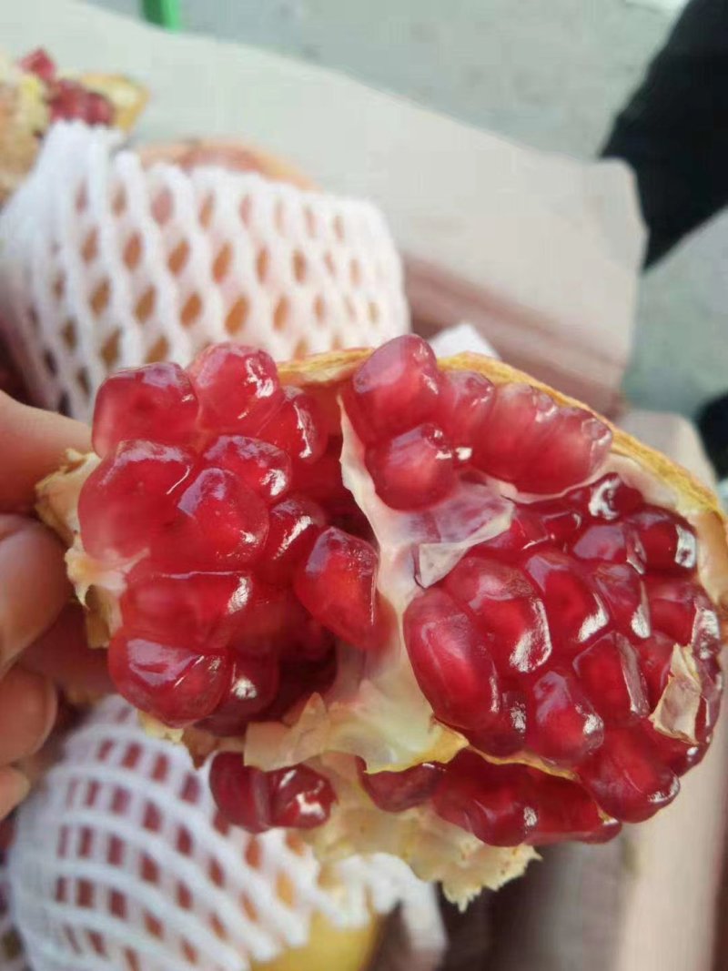 甜蜜蜜石榴