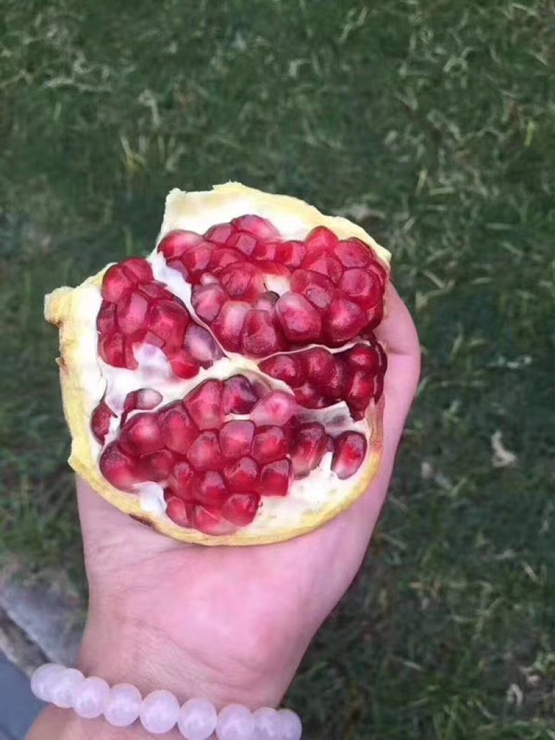 甜蜜蜜石榴