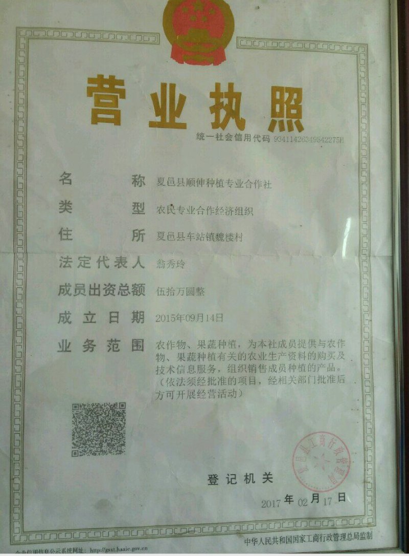 河南省夏邑县益农合作社蔬菜基地。常年供应各种蔬菜。辣椒
