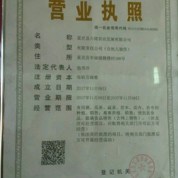 河南省夏邑县益农合作社蔬菜基地。常年供应各种蔬菜。辣椒