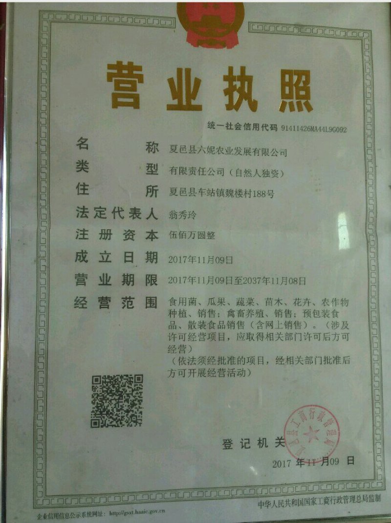 河南省夏邑县益农合作社蔬菜基地。常年供应各种蔬菜。辣椒