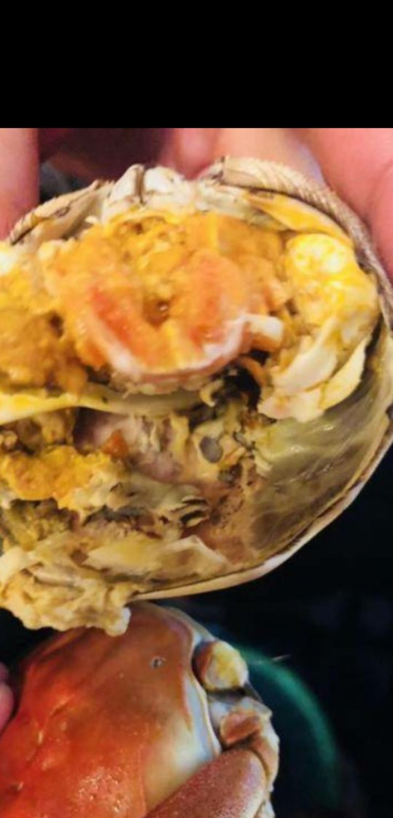 湖北清水大闸蟹，精品公蟹，河蟹，欢迎来电洽谈，优惠多多！